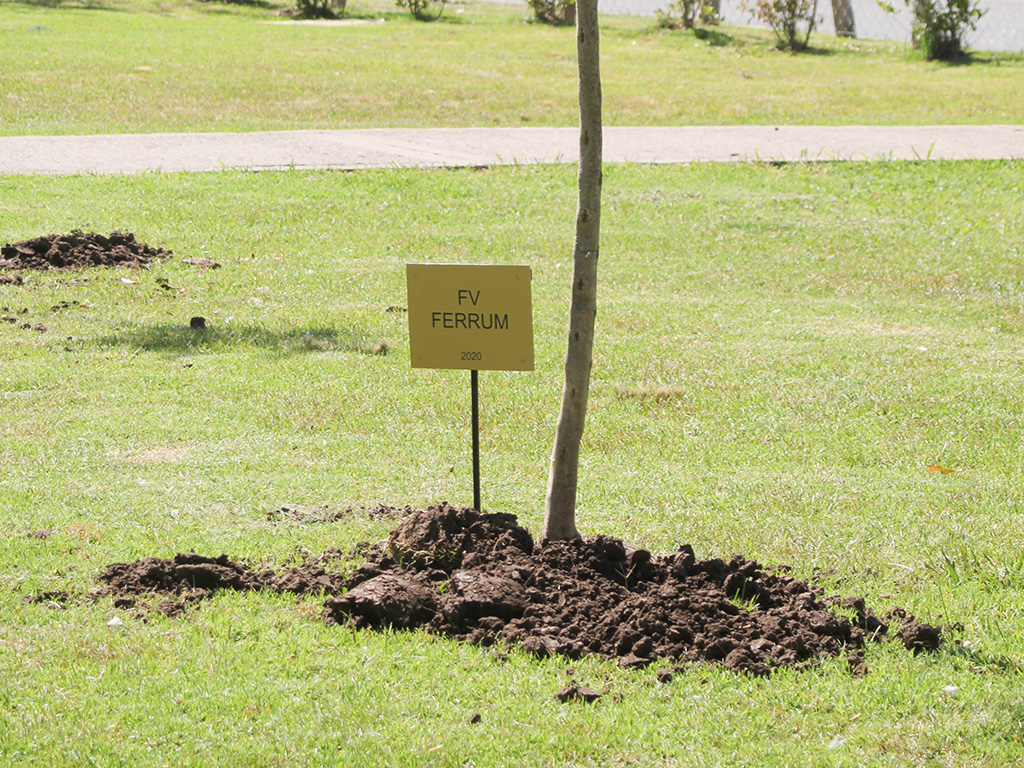 Bosque de Agradecimiento