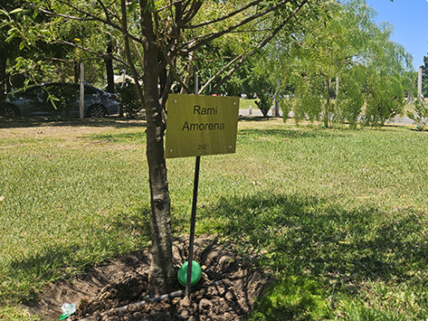 Bosque de Agradecimiento
