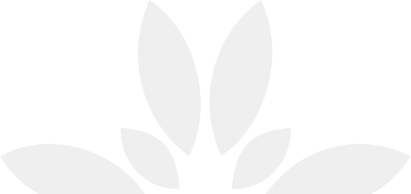 Pacientes Internacionales