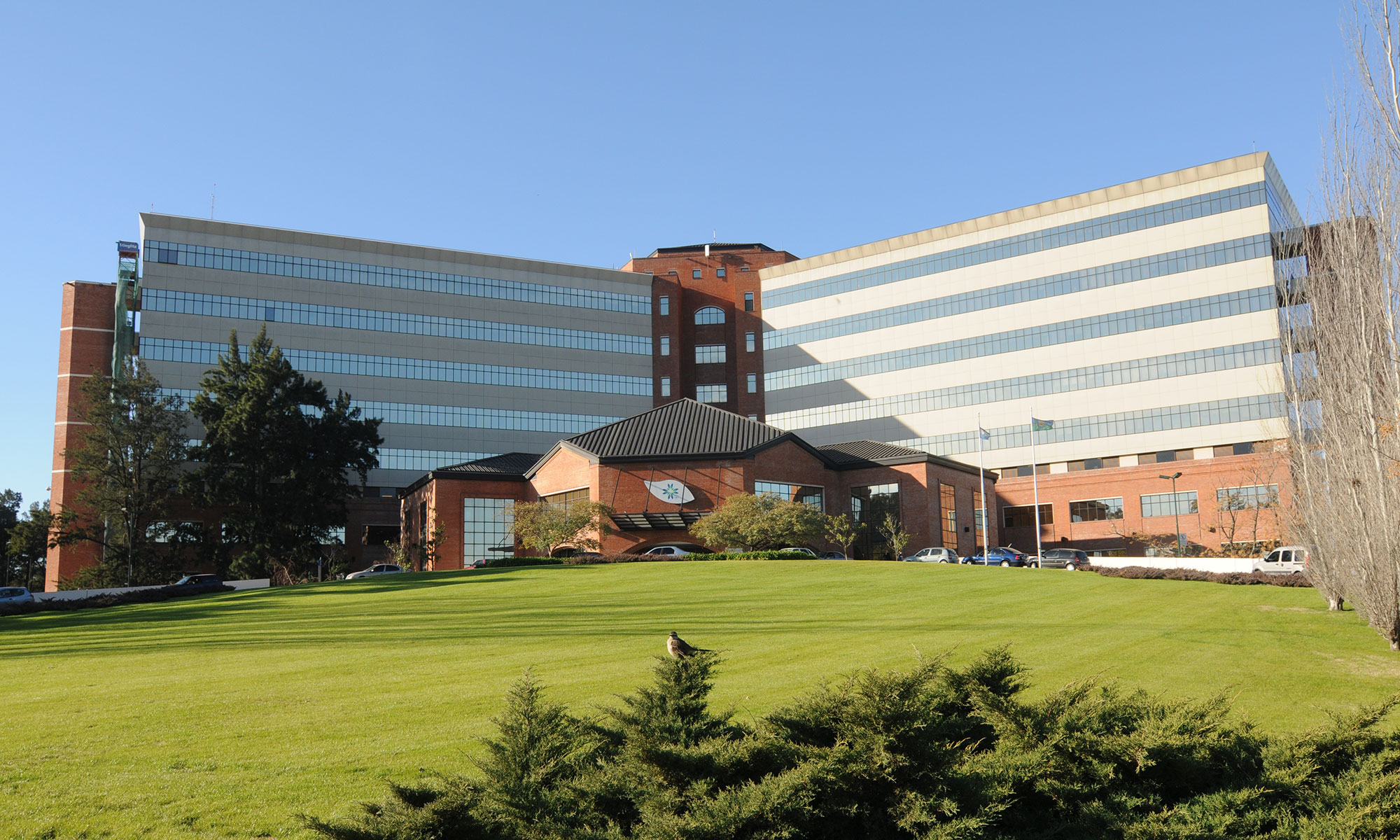 Pacientes Internacionales