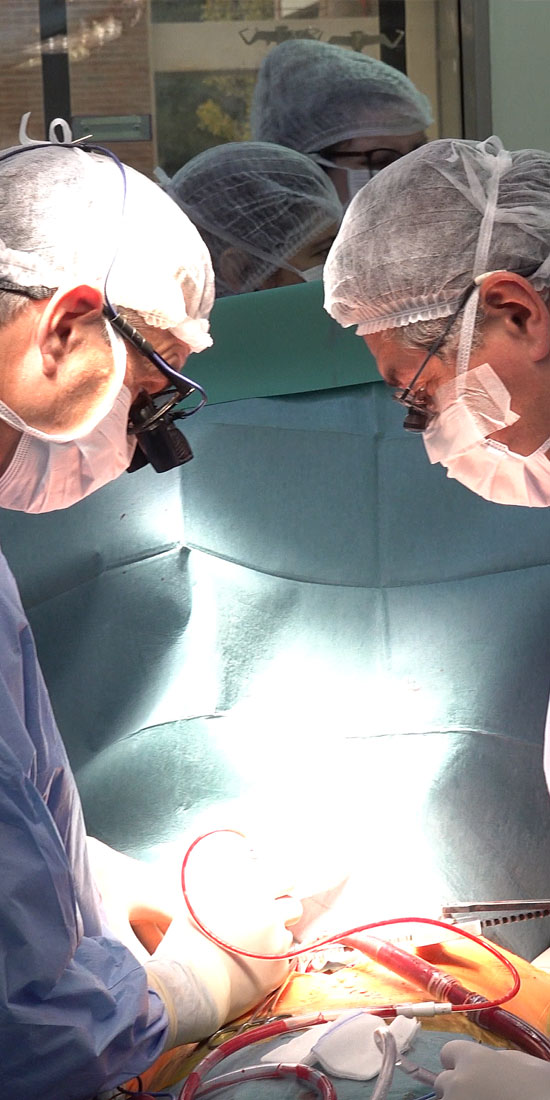 Cirugía Cardiovascular de Adultos: endarterectomía pulmonar