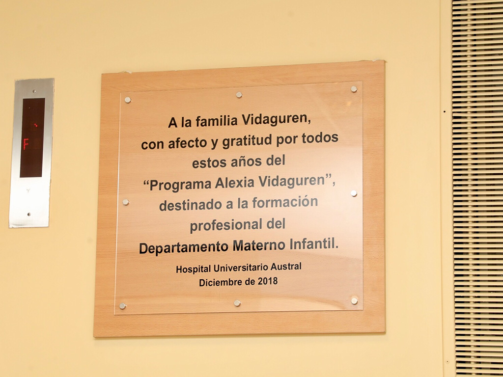 Programa «Alexia Vidaguren» Programa «Alexia Vidaguren»