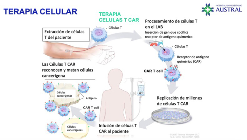 Terapias celulares para transformar el tratamiento del cáncer