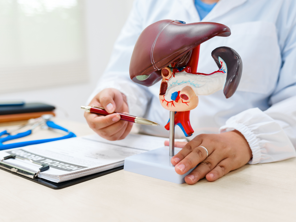 Hígado graso: la epidemia silenciosa