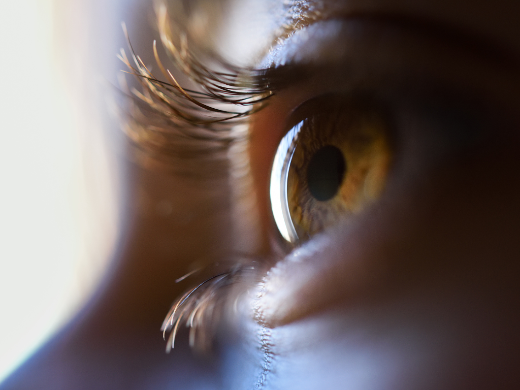 Retina: donde la visión se juega en detalle