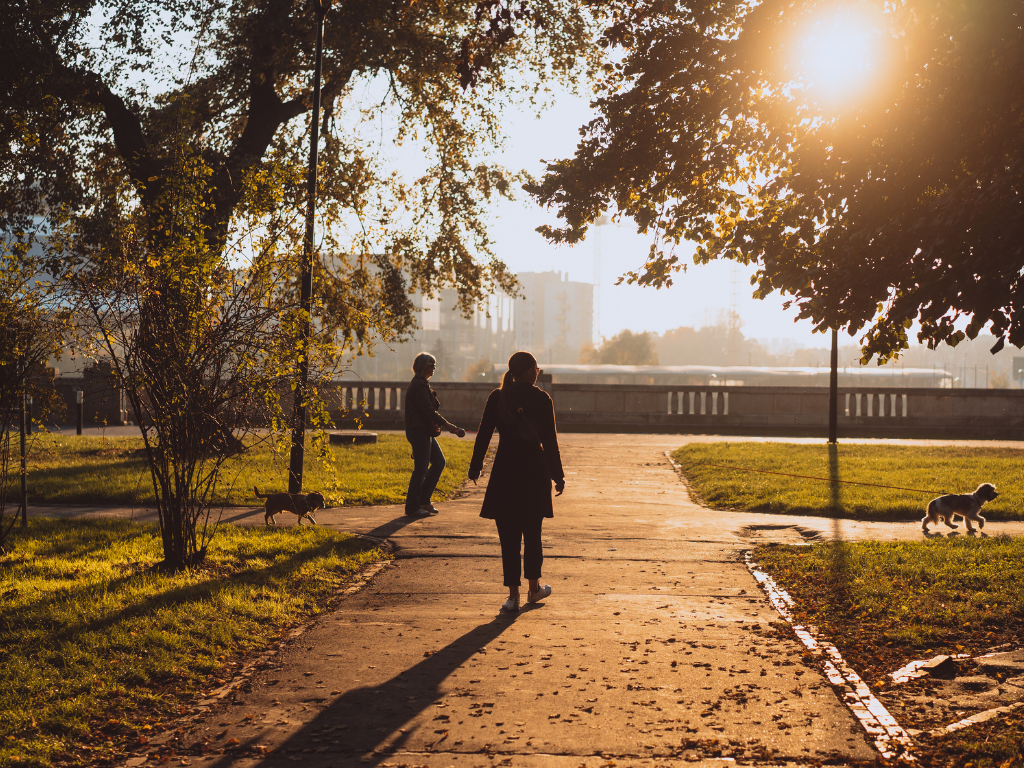Minidosis de movimiento que suman salud cardiovascular Minidosis de movimiento que suman salud cardiovascular
