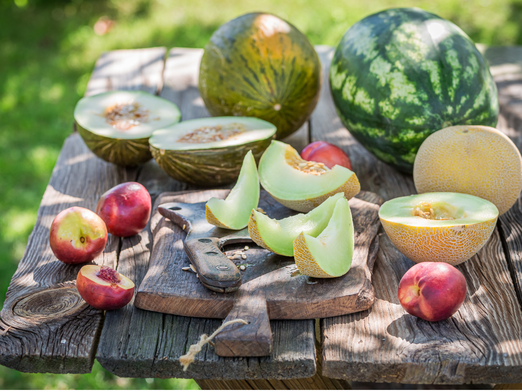 Platos que pesan más con calor: el rol de la microbiota intestinal