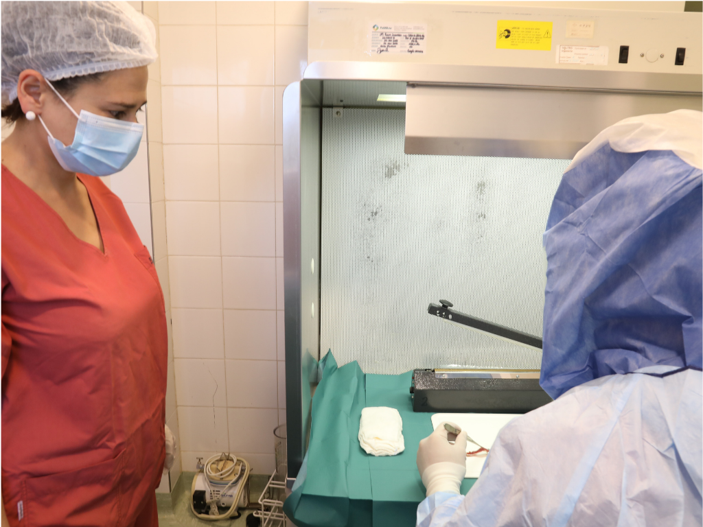 Banco de Tejidos: la ingeniería silenciosa detrás de muchas cirugías