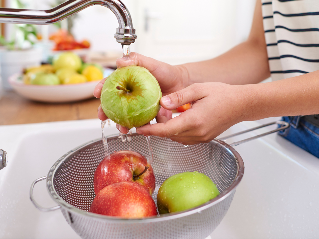 Embarazo y gatos: qué hay de cierto en el miedo a la toxoplasmosis