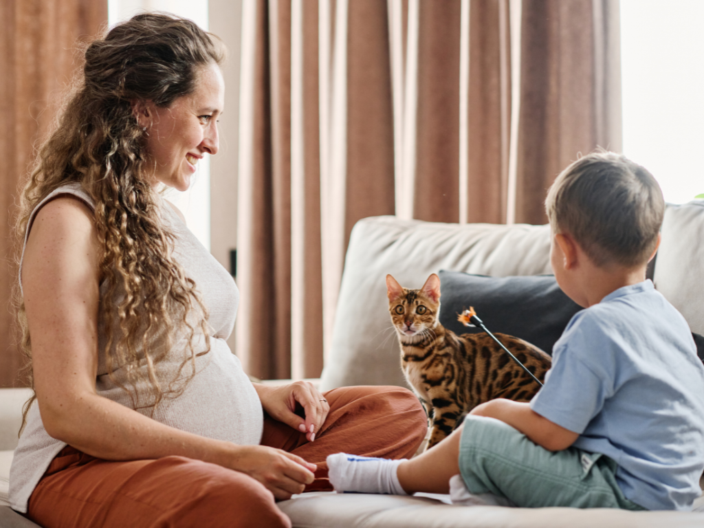 Embarazo y gatos: qué hay de cierto en el miedo a la toxoplasmosis