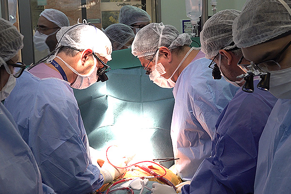 Cirugía Cardiovascular Adultos
