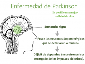 Info para nota Parkinson