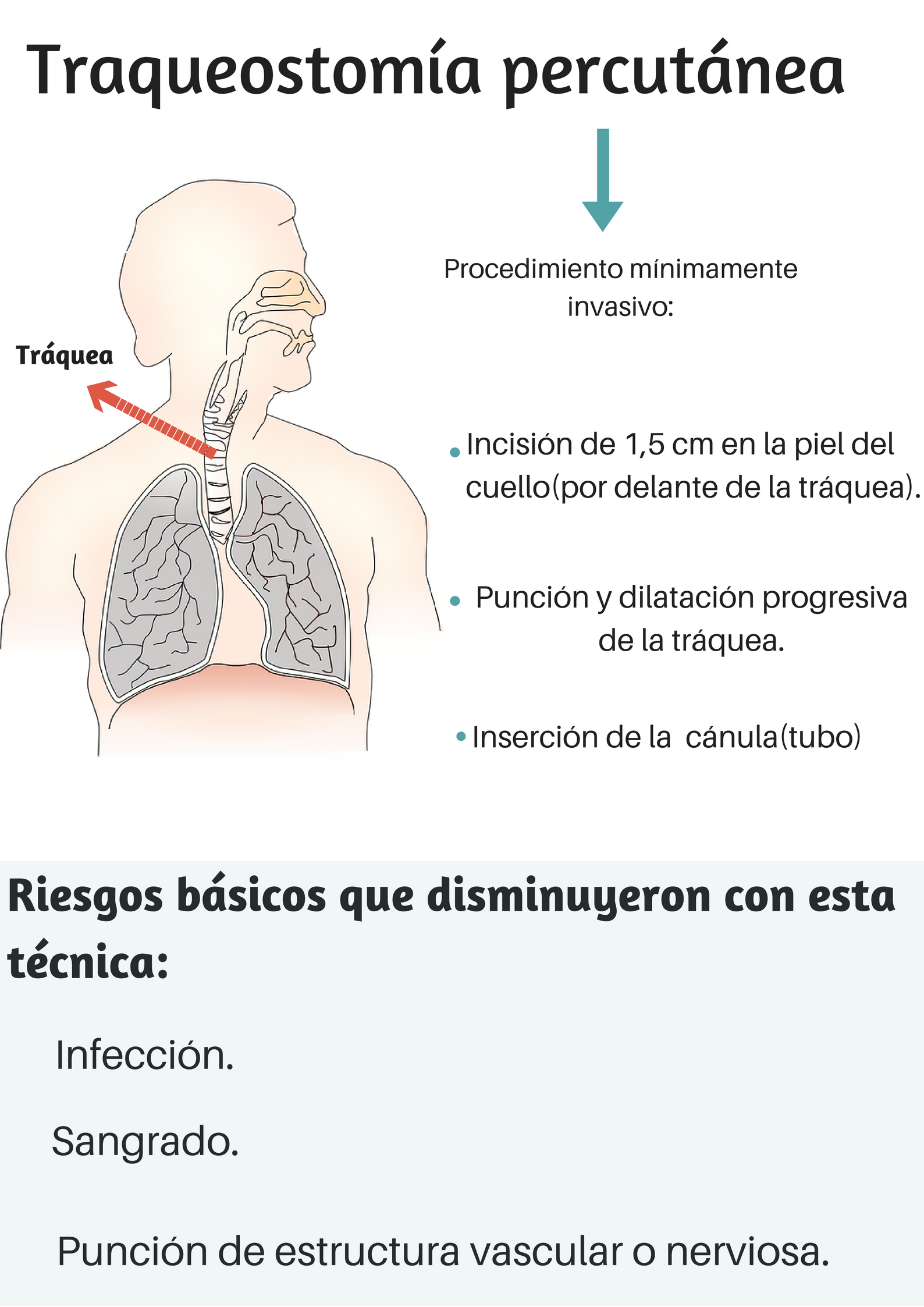Anatom a Del Procedimiento De Traqueotom a TRAQUEOSTOMIA PDF